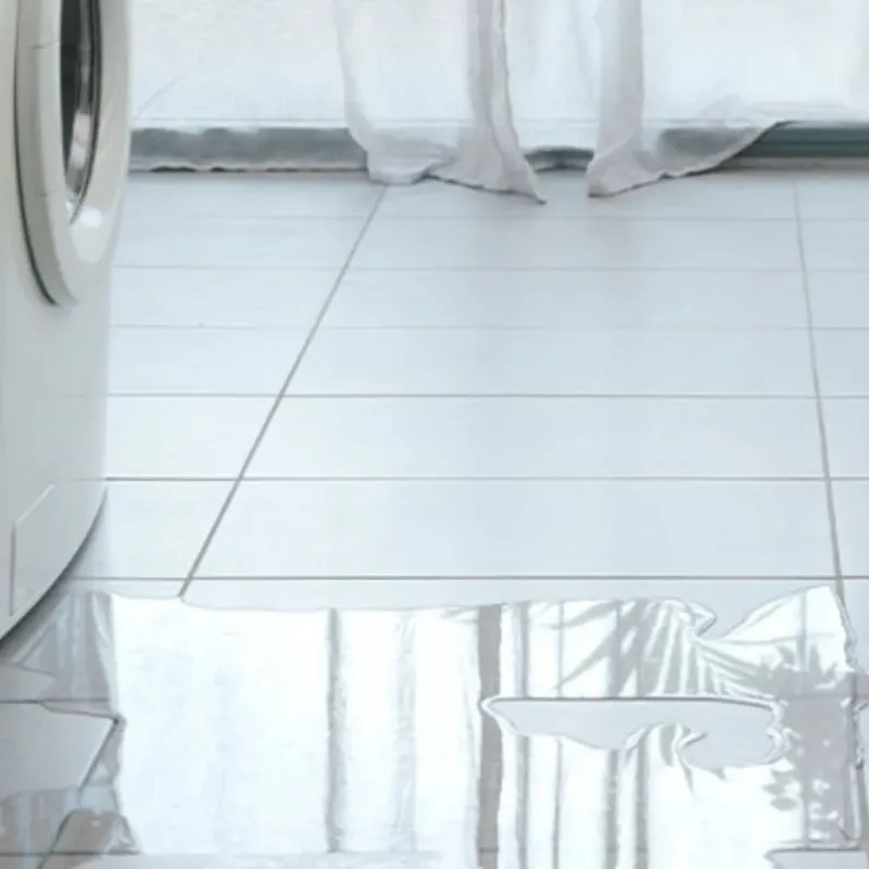 Appliance Leak Cleanup in Youngsville, LA