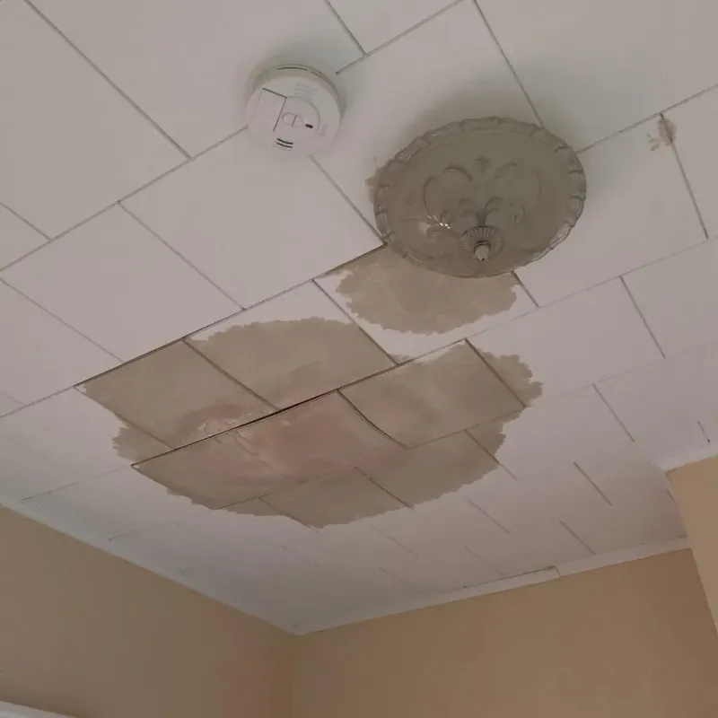 Ceiling Water Damage Repair in Youngsville, LA